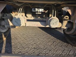 Benalu C34 - SMB - DRUM - Steelspring