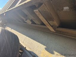 Benalu C34 - SMB - DRUM - Steelspring