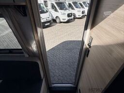 STERCKEMAN 455CP Sport Editon ~ DACHKLIMA ~ `26