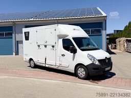 Renault Master Pferdetransporter Hengst