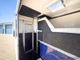 Renault Master Pferdetransporter Hengst