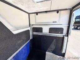 Renault Master Pferdetransporter Hengst