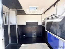 Renault Master Pferdetransporter Hengst