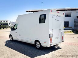 Renault Master Pferdetransporter Hengst