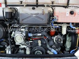 Iveco Evadys 13m / WC / 3-Point seat belts / NEW!!