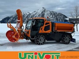 Hansa APZ 1003 XL Rasco Streuer Sole Schneepflug