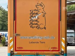 SCANIA S500 4x2 LL 3.Stock Finkl Viehwagen *unfall*