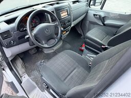 Mercedes-Benz 516 CDI FRIGO CARRIER XARIOS 300 - MEAT RAILS -...