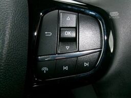 FORD Tourneo Custom Bus 320 L2 Titanium X AWD Matrix