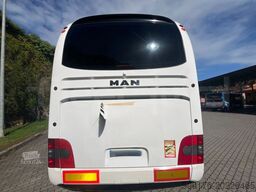MAN Lion's Coach