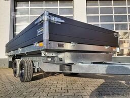 Saris K3 356 184 3500 2 Elektro Blattfederung 3500kg