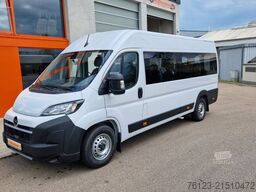 Opel Movao Fiat Ducato Systemboden Rolli