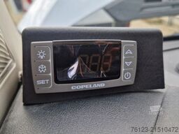 Opel Movao Fiat Ducato Systemboden Rolli