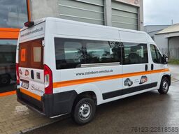 FIAT Ducato 9 Sitzer Mobility Airlineboden Rolli