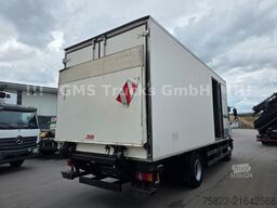 MAN TGM 12.250 / Frigo Rohrbahnen Fleisch Meat