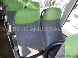 Neoplan Skyliner L / New Model / P06 / Astromega  / 431DT
