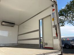 DAF LF FRIGO 2019 CARRIER + DHOLLANDIA / TACHO GEN2