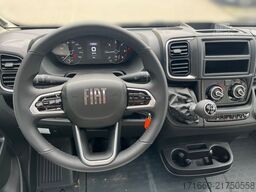 CARADO T 448 Halbjahreswagen 2026