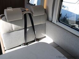Carado T 447 Pro+