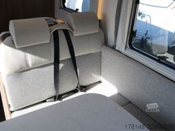 Carado T 447 Pro+
