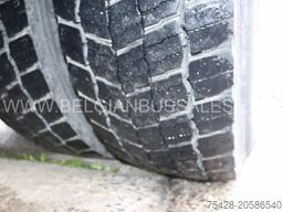 Van Hool EX15 H / TX15 Acron / 12.5m / Lift / Euro 6