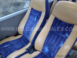 Van Hool EX15 H / TX15 Acron / 12.5m / Lift / Euro 6