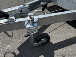 Other Autotransporter