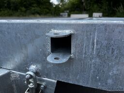 Other Autotransporter