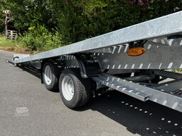 Other Autotransporter