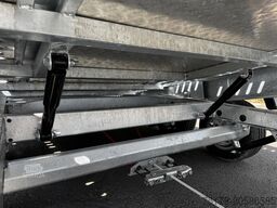 Other Autotransporter