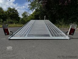 Other Autotransporter