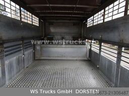 MERCEDES-BENZ Atego 815 KABA Groß-/Kleinvieh