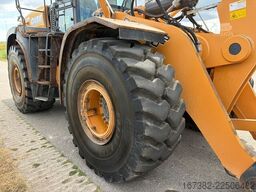 Case 1021F