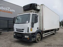 IVECO ML140E22/P | MANUAL ZF6 | CARRIER SUPRA 950Mt |
