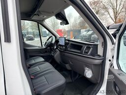 FORD Transit STX Haras NEW MODELL. AUTOMATIK