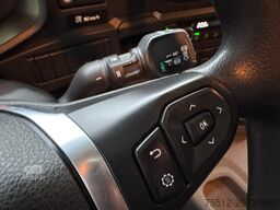 Scania P250 / 416.000..KM! / Tail Lift / TUV: 9-2026 /...