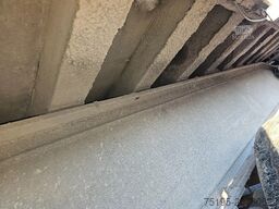 Benalu C34 - SMB - DRUM - Steelspring