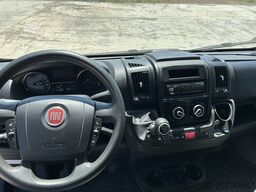 FIAT Weinsberg Carabus