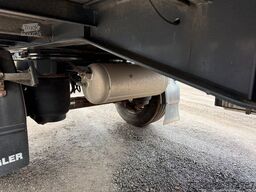 Hangler 2 PEL 18 Pritsche Plane Bordwand Rungen