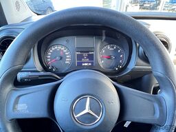 Mercedes-Benz Citan Klima PDC DAB Benzin