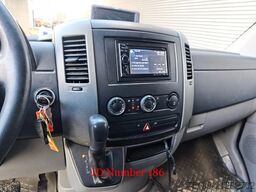 Mercedes-Benz Sprinter 319 CDI KHG Mystic 2 Horsetruck