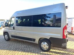 Fiat Ducato L2H2 verglast Kombi 9_Sitzer