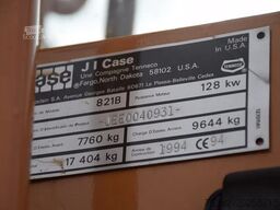 Case 821B