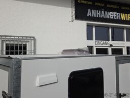 trailershop Sport Transport Camp 320cm midi direkt