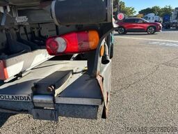 Renault D WIDE 380 DTI