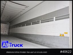 SCHMITZ SKO FP45, Blumenbreite, Carrier 1950.