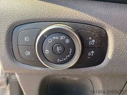 FORD Transit Custom Kasten 280 L1 Trend