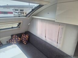 ADRIA Action 391 LH