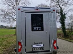 Renault Master E-Tech STX S3 nieuw paardenwagen elektri...