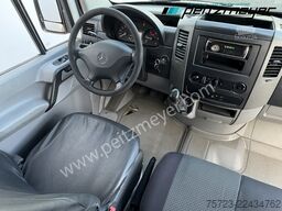 Mercedes-Benz Sprinter 309 CDI, 7 Sitzer